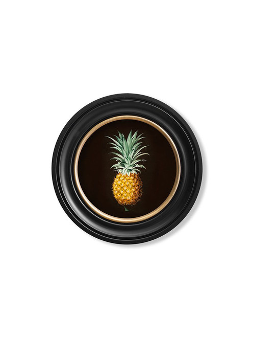 Black Pineapple Black/Gold Round Frame - Sizes Available