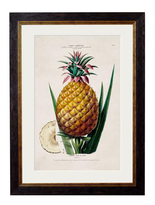 Pineapple Plant Oxford Slim Frame - A3