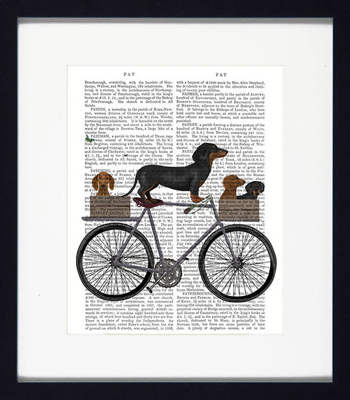 Dogs on Tandem Daschund Picture