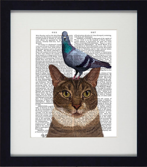Funky Cats Pigeon Picture