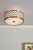 Civic Small 2 Light Flush Ceiling Light Antique Brass Frosted Glass