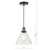 Ray 1 Light Single Pendant Antique Nickel Clear Glass