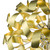 Swash Pack Of 20 Ribbons For SWA1350-SP - Gold