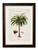 Macaw Palm Oxford Slim Frame - A3