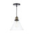 Ray 1 Light Pendant Antique Brass Clear