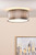 Netra 3 Light Flush Satin Bronze and Ivory