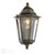 Audley End Outdoor Wall Light Hand-brushed Black/Gold and Glass IP44