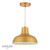 Hatfield Pendant Matt Antique Brass
