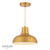 Hatfield Pendant Matt Antique Brass