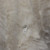 Zip View of Presley Cushion 43cm Cream by Scatter Box