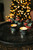 St Eval Mini Christmas tin set 2 fragrances