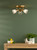 Elron 3 Light Plate Spotlight Antique Bronze and Ribbed Glass