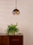 Lycia Pendant Satin Bronze and Bronze Ombre Glass