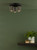 Yamis 3 Light Plate Spotlight Satin Bronze and Matt Black