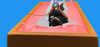 Summer Body Warm Dry Float Bed