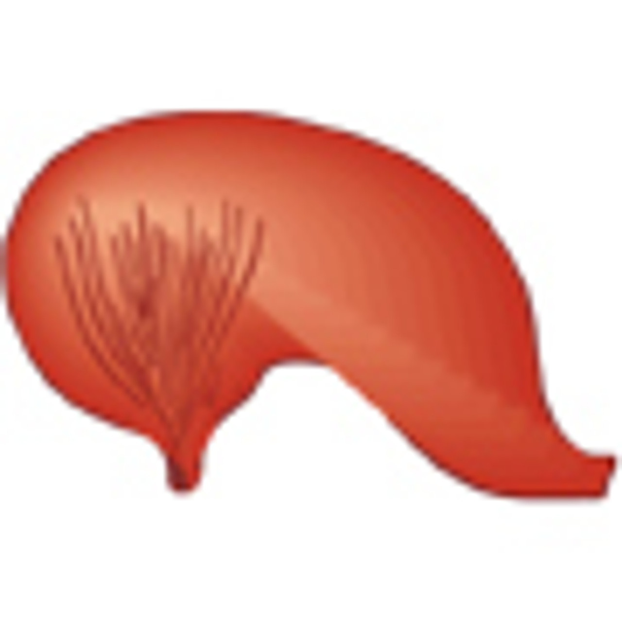 Intestinal System Supplements Intestinal System Supplements