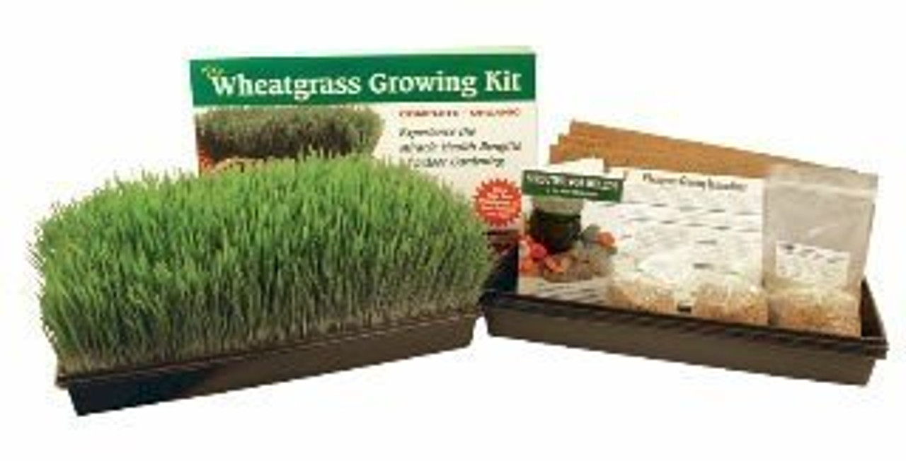 Wheatgrass Sprouter Wheatgrass Sprouter