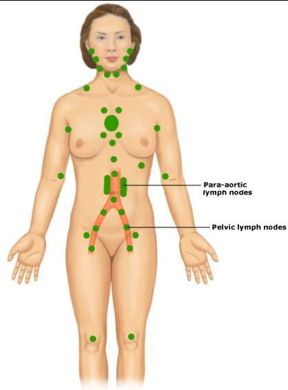 bodylightlymph.bmp