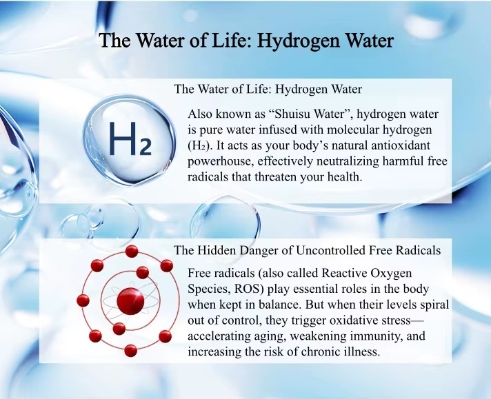 hydrogenasanantioxidant.jpg