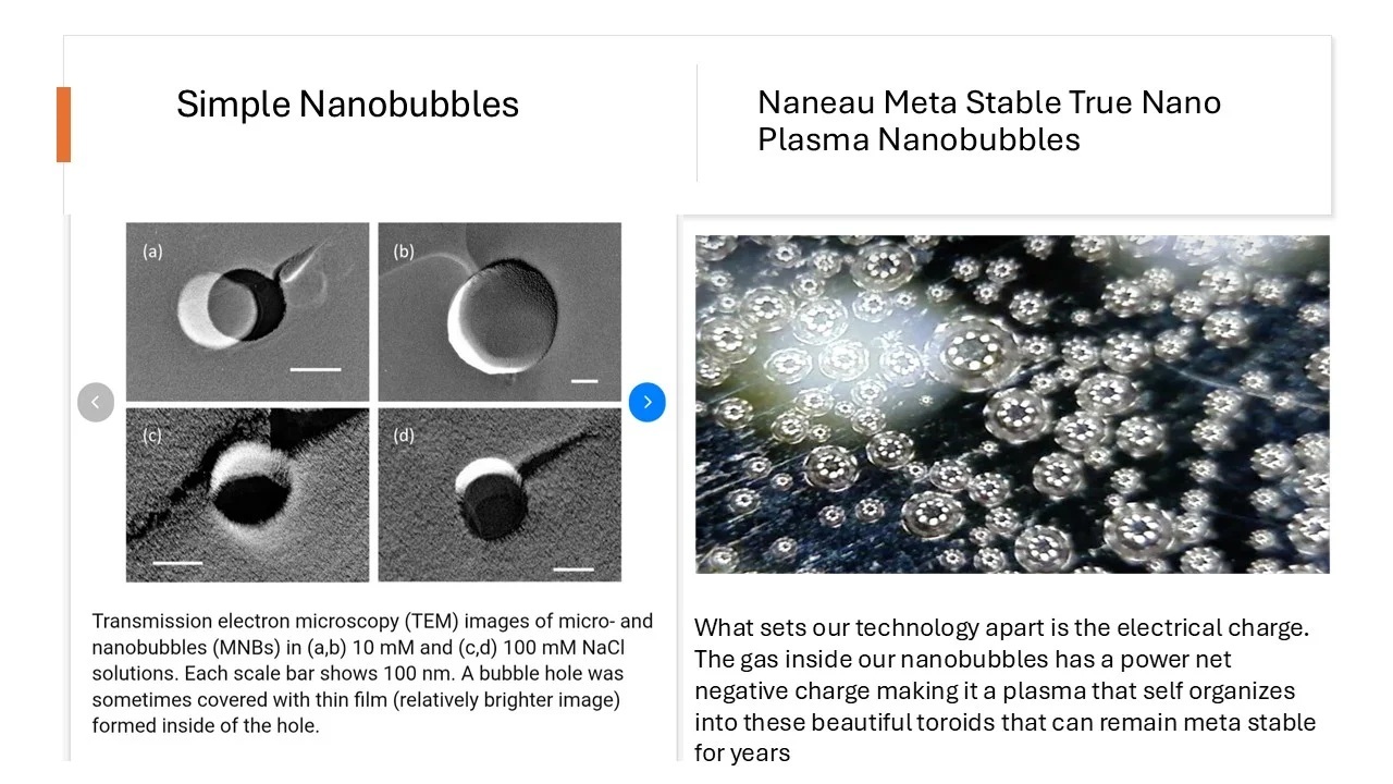 nanoplapoidsimplecomparison.jpg nanoplapoidsimplecomparison.jpg