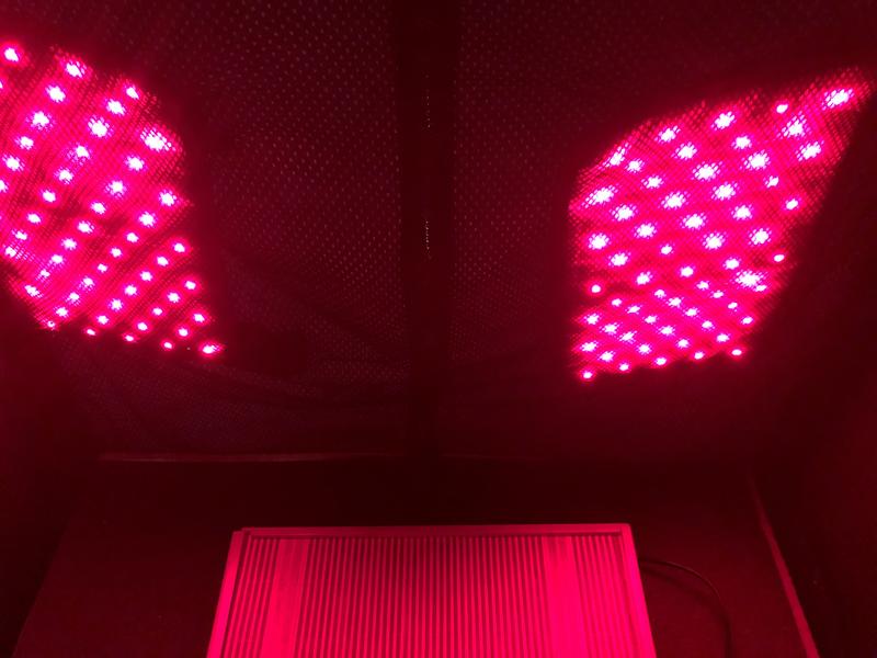 therasage red light therapy