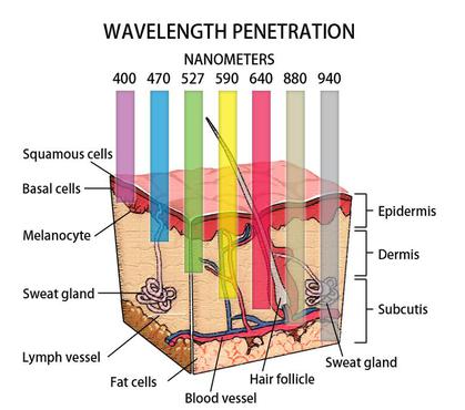 wavelengths.jpg