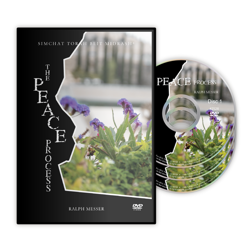 The Peace Process The Peace Process