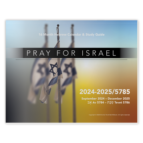 Pray for Israel 2024-2025 Wall Calendar Pray for Israel 2024-2025 Wall Calendar