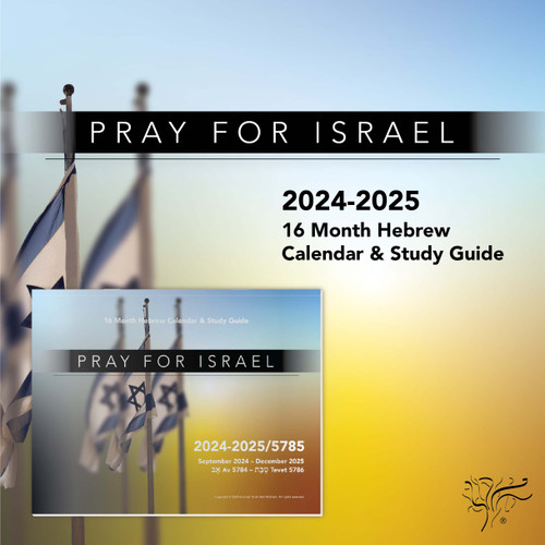 Pray for Israel 2024-2025 Wall Calendar Pray for Israel 2024-2025 Wall Calendar
