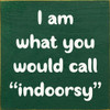 Wood Sign - I am what you would call "indoorsy"