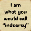 I am what you would call "indoorsy"