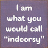 Wood Sign - I am what you would call "indoorsy"