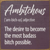 Ambitchous [am-bich-us] adjective - Funny Definition Sign