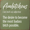 Ambitchous [am-bich-us] adjective - Funny Definition Sign