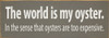 The world is my oyster...Funny Wood Sign | Sawdust City Signs