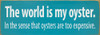 The world is my oyster...Funny Wood Sign | Sawdust City Signs