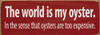 The world is my oyster...Funny Wood Sign | Sawdust City Signs