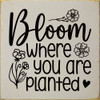 Bloom where you are planted
