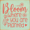 Bloom where you are planted