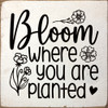 Bloom where you are planted...Inspirational Wood Sign | Sawdust City Signs