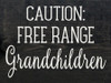 Caution: Free Range Grandchildren | Funny Wood Signs | Sawdust City Wood Signs