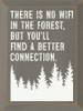 There is no wifi in the forest, but you'll find a better connection