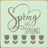 Spring Has Sprung (tulips)|Wooden Spring  Sign| Sawdust City Wood Signs