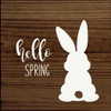 Hello Spring (Bunny)