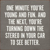 One Minute You're Young And Fun. And Next, You're Turning Down The Stereo In Your Car To See Better |Funny Wood  Sign| Sawdust City  Signs