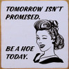 Tomorrow Isn't Promised. Be A Hoe Today. | Shown in Lavender with Black | Funny Wooden Signs | Sawdust City Wood Signs