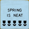 Spring is neat | Shown in Baby Blue with Black | Wooden Seasonal Signs | Sawdust City Wood Signs