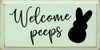 Welcome Peeps |  Wooden Spring Signs | Sawdust City Wood Signs