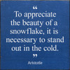 "To appreciate the beauty of a snowflake, it is necessary to stand out in the cold." Aristotle