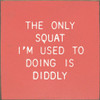 The Only Squat I'm Used to Doing Is Diddly | Funny Wood Signs | Sawdust City Wood Signs